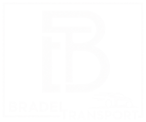 Bradel VTC — chauffeur privé à La Réunion